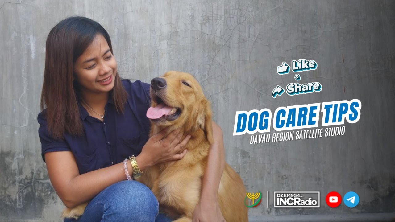 Pet Dog Treatment Tips (Davao Area Gps Workshop)|Like & Reveal|March 28, 2024 