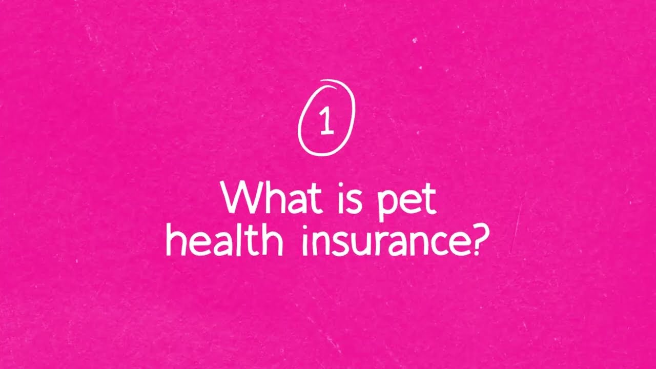 What is actually Dog Health Plan?|Lemonade