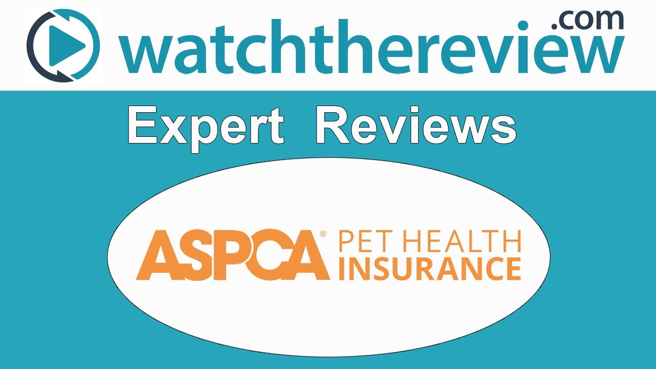 ASPCA Pet Dog Insurance Policy Customer Review – Pet Dog Insurance Policy