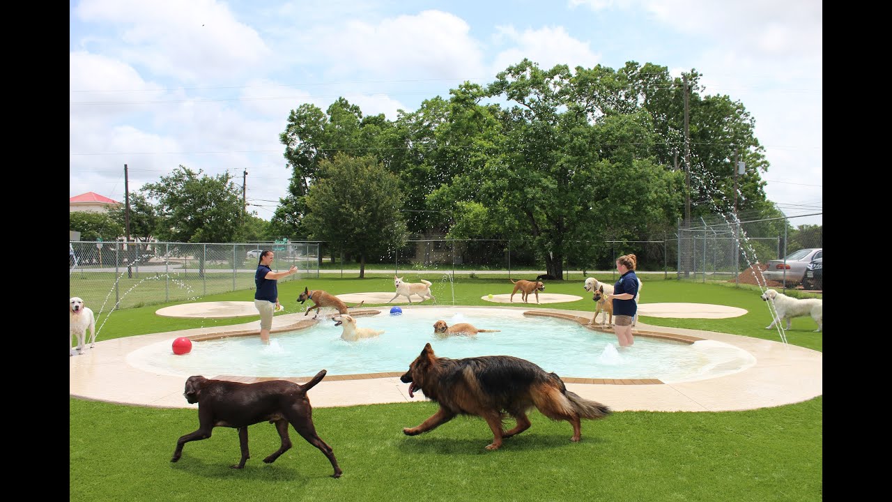 Meadowlake Dog Retreat & Instruction Facility- Day Care