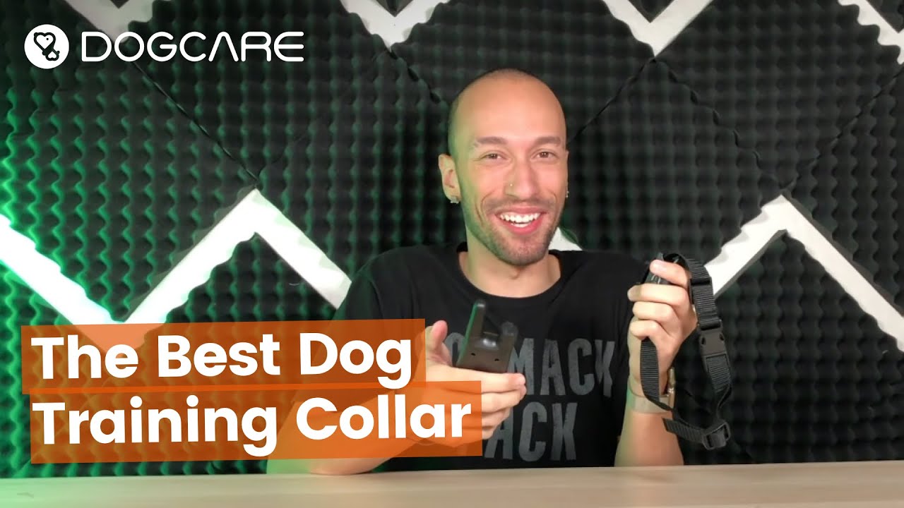 DogCare TC-01 Pet Dog Instruction Set- The Most Effective Pet Dog Qualifying Dog Collar