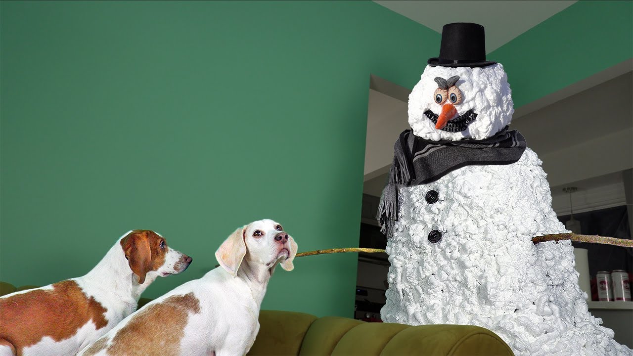 Canines vs Frightening Snowman Trick: Funny Canine Maymo, Potpie, & Puppy Dog Independent vs Scary Snowman Prank