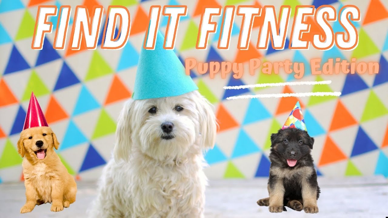 Discover It Physical Fitness: New Puppy Celebration Version (w/audio)