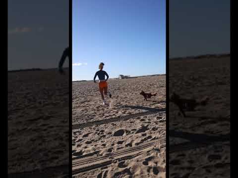 seashore functions ❤ #running #beach #dog #puppy #fitness #fitnessmotivation #fitnessmodel #fitspo