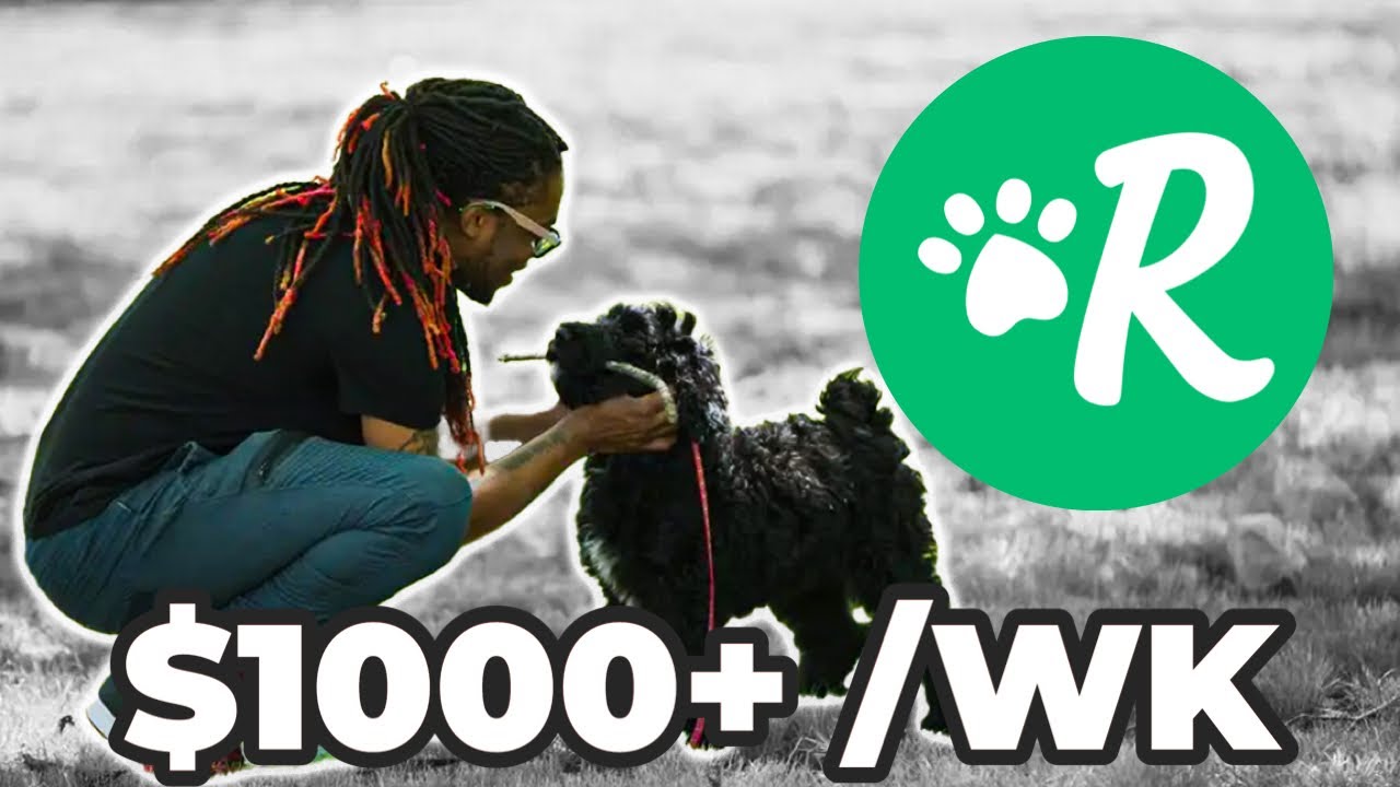 Exactly how I Change $thousand A Full Week On Wanderer Pet Walking/Sitter Application