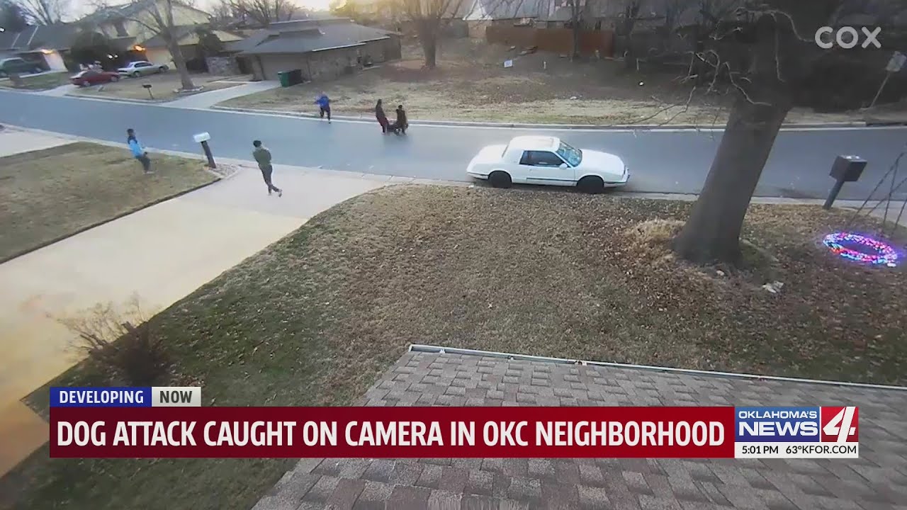 Dangerous canine strike on team of adolescents in NW Oklahoma Area found out electronic camera