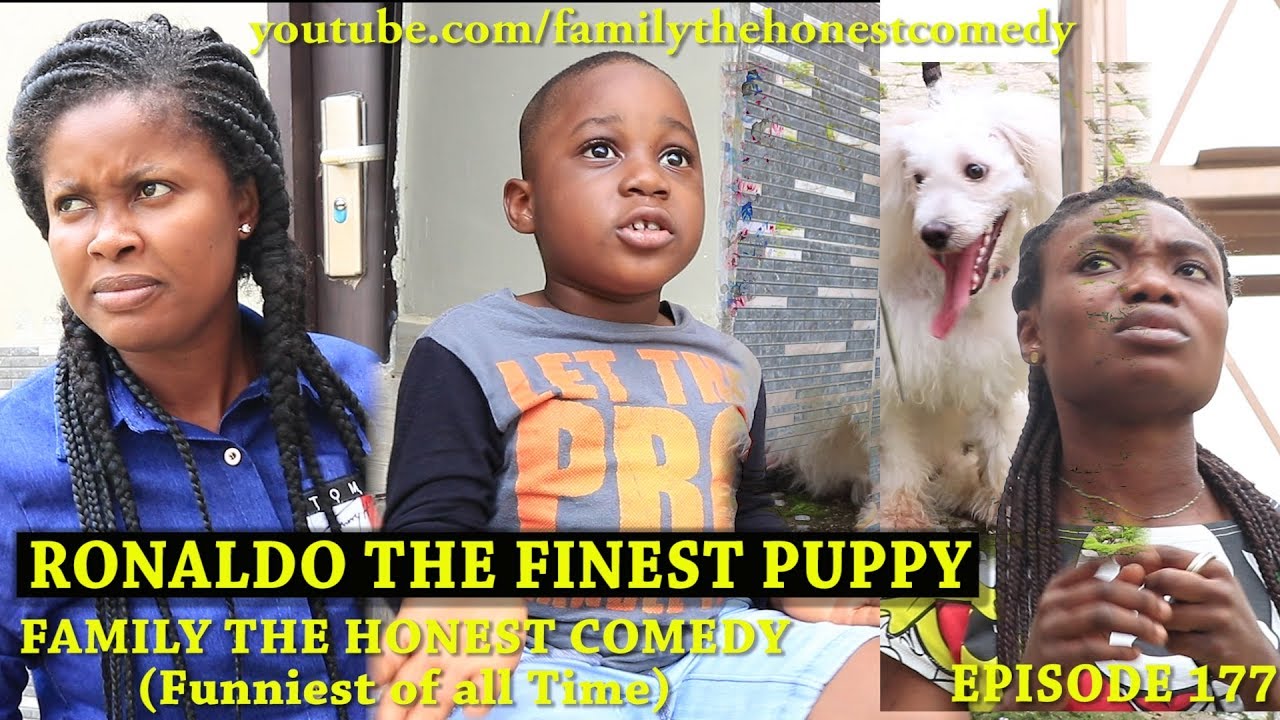 COMICAL VIDEO RECORDING (RONALDO BEST YOUNG PUPPY) (Family Members The Honest Humor) (Incident 177)
