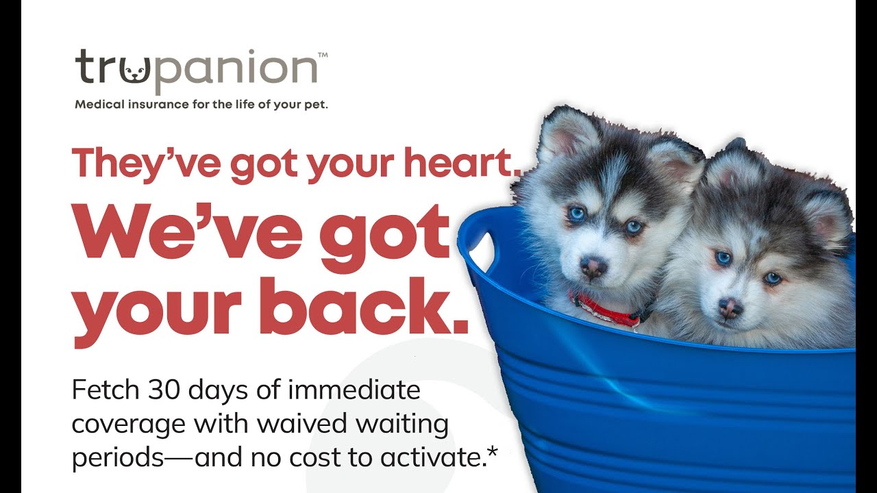 Trupanion Medical insurance consisted of along with every Carrousel Pomskies puppy dog adopting!