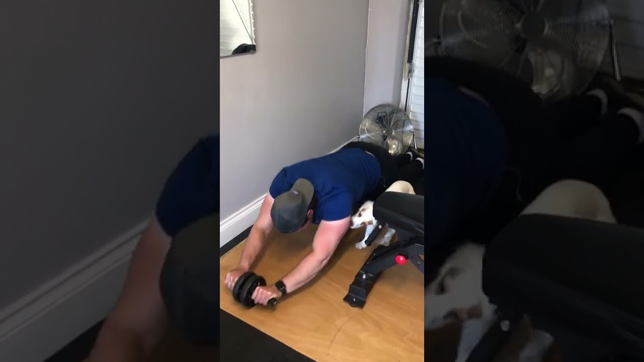 Lovable pup attempts to exercise along with daddy.