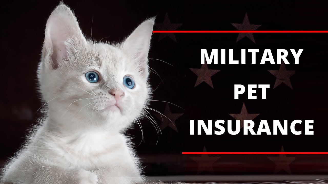 Army Rebates on Dog Insurance coverage