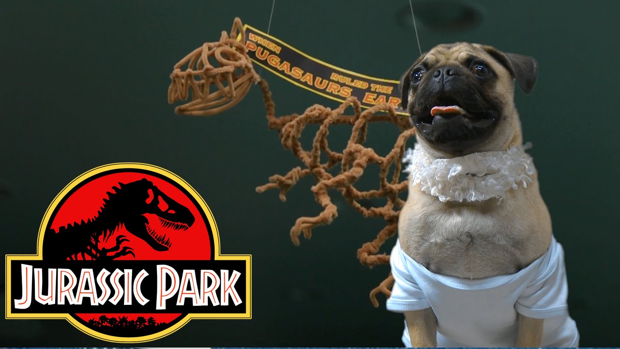 Jurassic Playground (Attractive Pug Young Puppy Version)