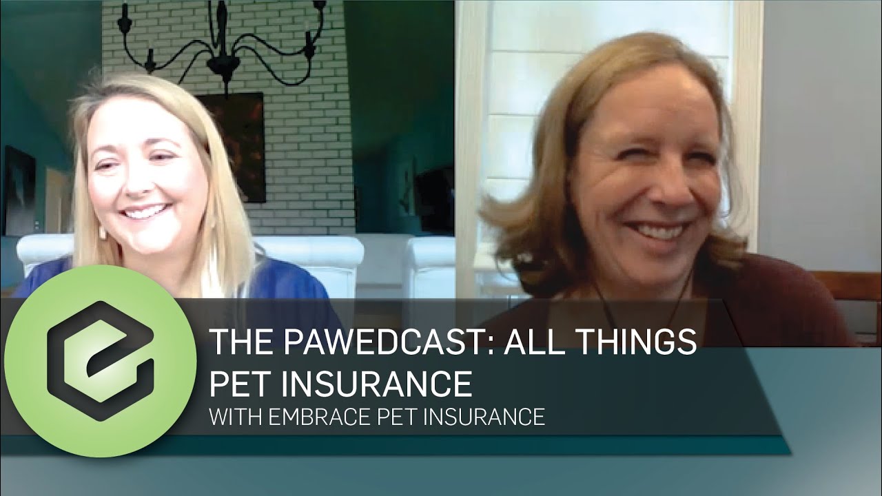 The PAWEDcast: Everything About Animal Insurance Coverage