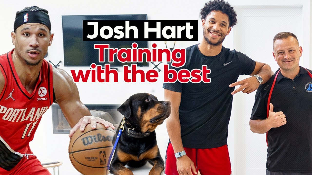 Teaching Josh Hart’s Rottweilers – Pro Gamer complies with Pro Personal trainer