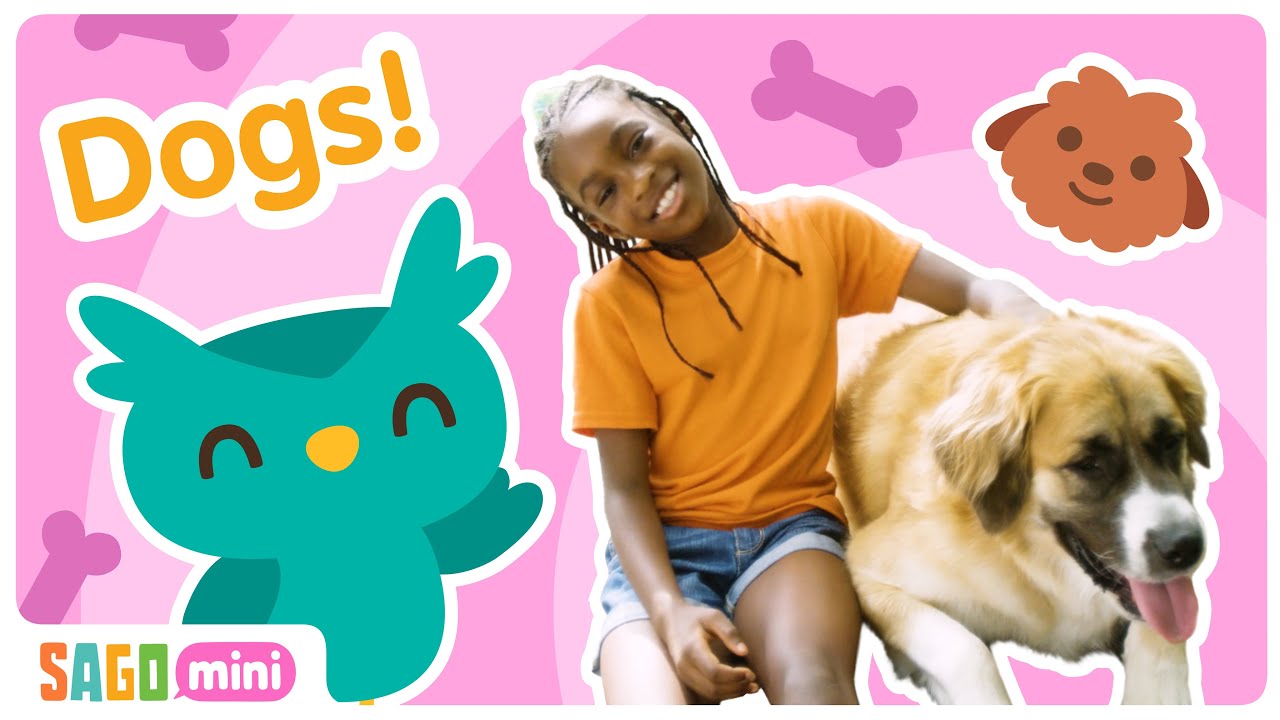 Exactly how Perform You Care for a CANINE|Cycle Opportunity for Children|Sago Mini Social & Emotional Knowing