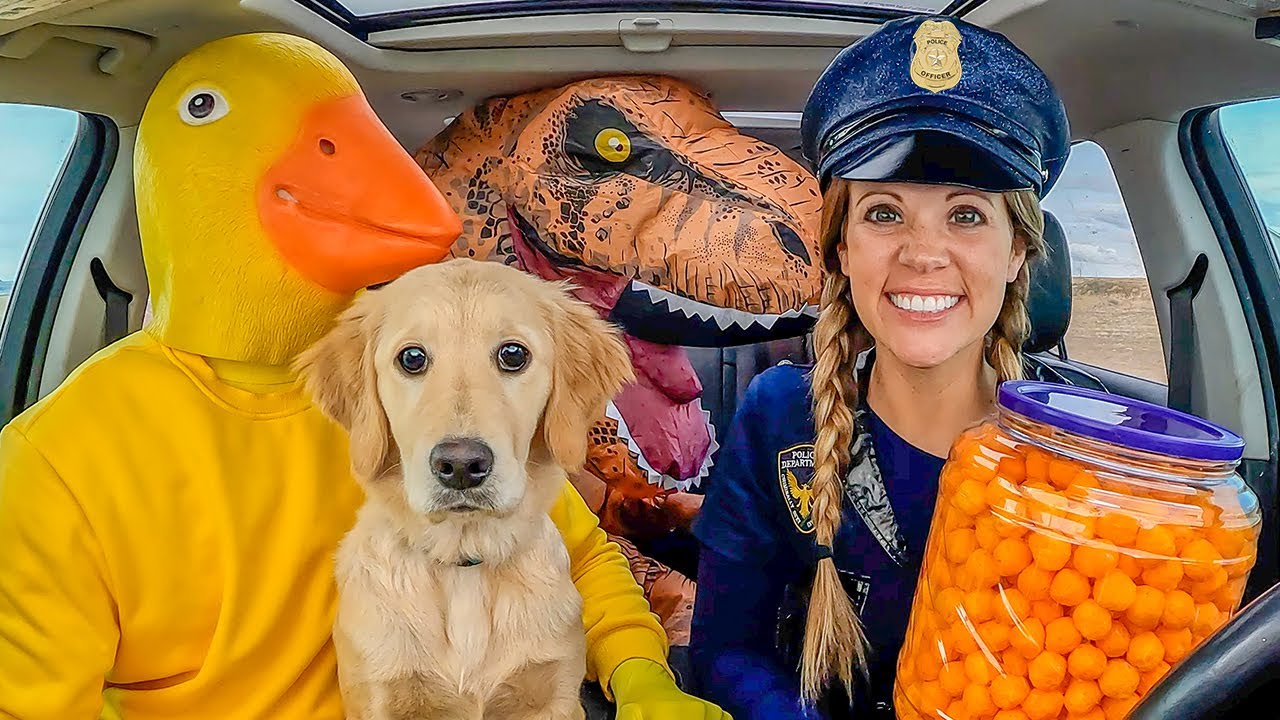 Authorities Swipes Young Puppy coming from Rubber Ducky in Lift Pursuit!