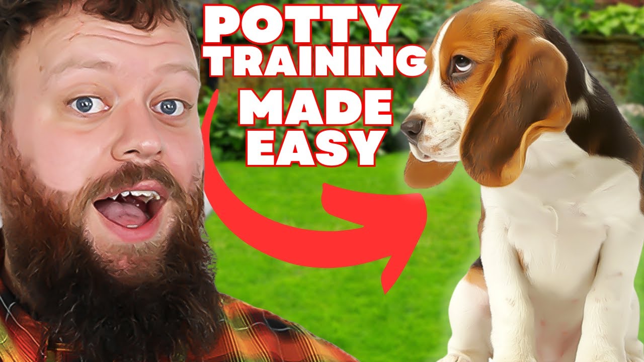 Exactly How To Potty Learn Your Puppy Dog Conveniently!