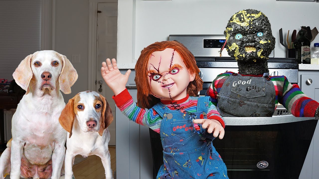 Pet Dogs Melt Chucky in Stove: Adorable Young Puppy Independent & Funny Canine Maymo & Potpie vs Chucky Trick!