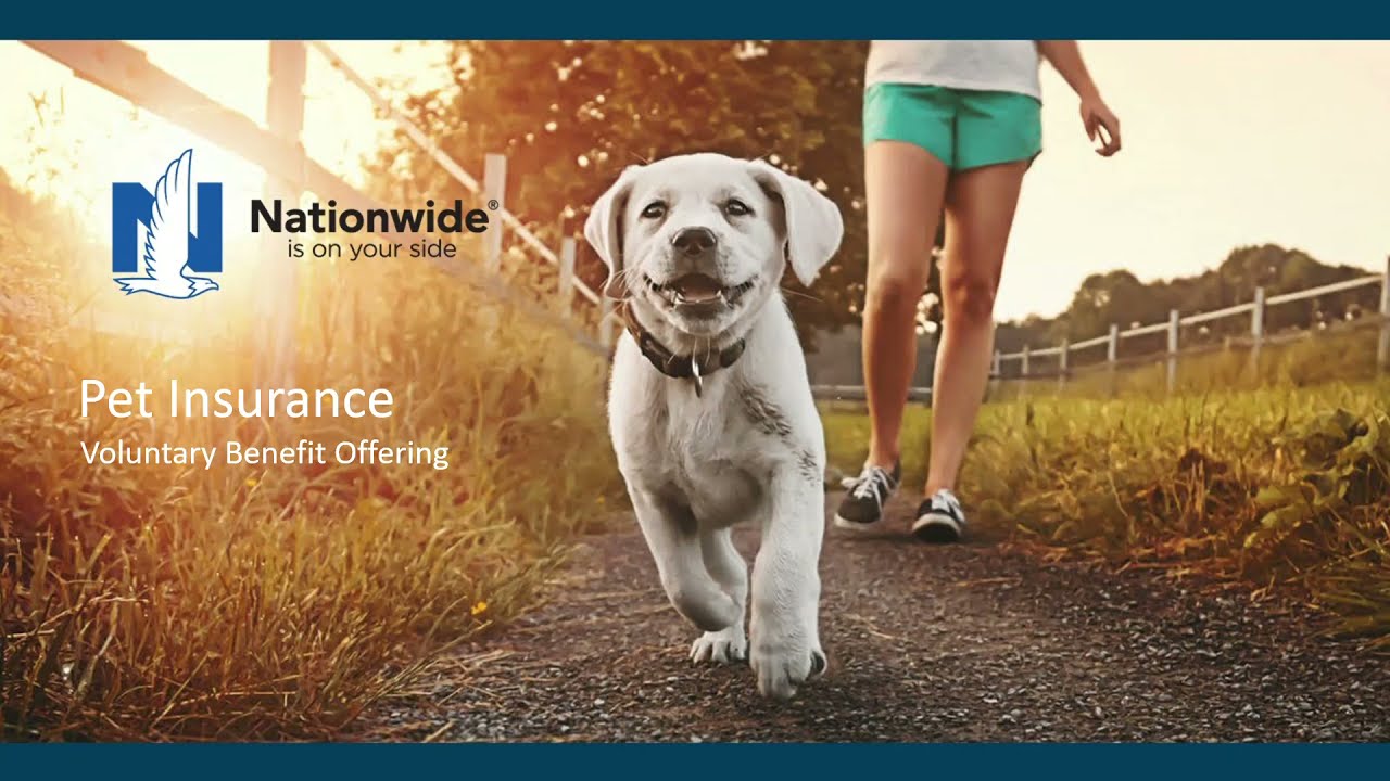 Nationwide Dog Insurance Policy Webinar