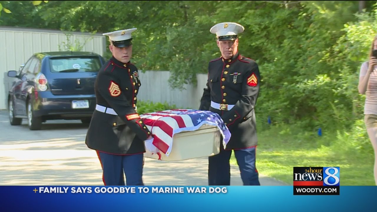 Loved ones bids farewell to Marine battle pet