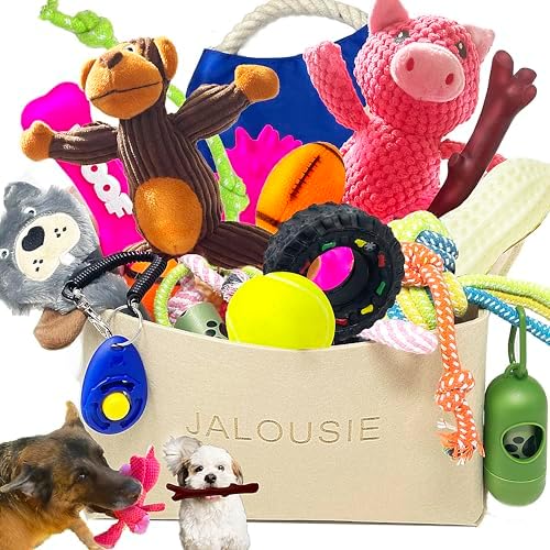 Jalousie 24 Parts Pet Dog Present Container for Tool Pet Dog Breeds, Sizable Types, Tiny Types, Squeaky Toys, Plush Plaything, Rubber Toys, Rope Toys, Qualifying Toys as well as a Pet Plaything Container – Pup Beginner Set