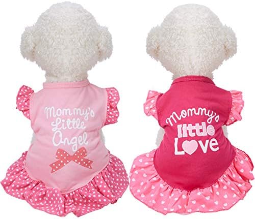2 Parts Pet Dog Dresses for Lap Dogs Lovely Woman Women Pet Dog Gown Mother Young Puppy Tshirt Dress Pet Dresses Family Pet Summer Season Garments Clothing for Canine as well as Cats (Passion as well as Angel, Tool)