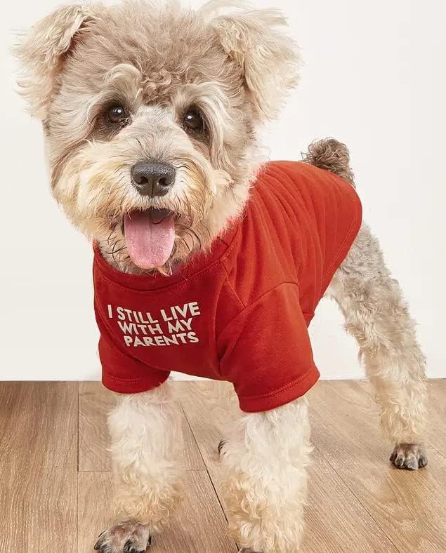 Attractive Pet Clothing, Pet T Tee for Tool Dogs.Dog Clothing for Lap Dogs Lady Kid, Puppy.Breathable Soft Pet Clothing Animal Canine Cats, Animal Shirt Jumper, Kitty Clothing (XL-( 16 ~ 20lb), Upper Body ~ twenty”, Reddish, Parents)