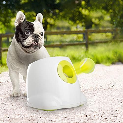 ALL OF FOR PAWS Pet Dog Automatic Sphere Launcher for Lap Dogs, Pet Dog Ping Pong Sphere Throwing Maker, 3 Spheres Consisted of