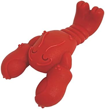 NYLABONE Seafood Pet Dog Plaything Energy Eat– Lovely Pet Dog Toys for Aggressive Chewers– along with a Funny Spin! Filet Mignon Taste, Small/Regular