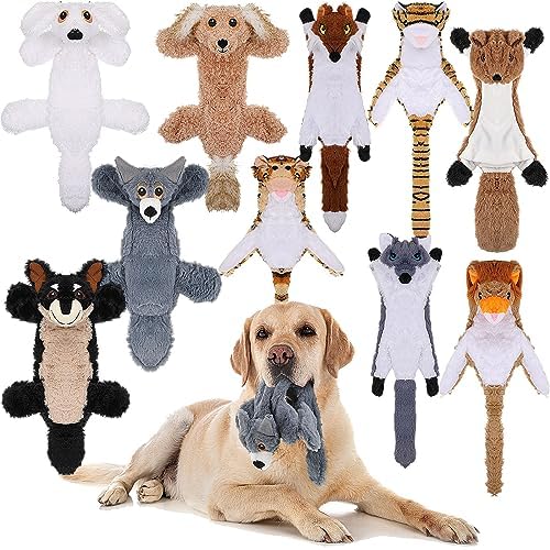 Sratte 10 Personal Computers Canine Squeaky Toys No Packing Dog Toys Crinkle Canine Plaything for Aggressive Chewers Plush Teething Puppy Dog Squeak Toys Animals Chew Toys for Tiny Channel Big Animals, 10 Types( Fragile Design)
